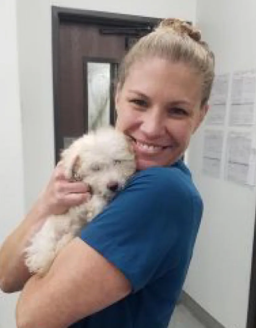 Alexis at Channel Islands Veterinary Hospital / Las Posas Veterinary Medical Center